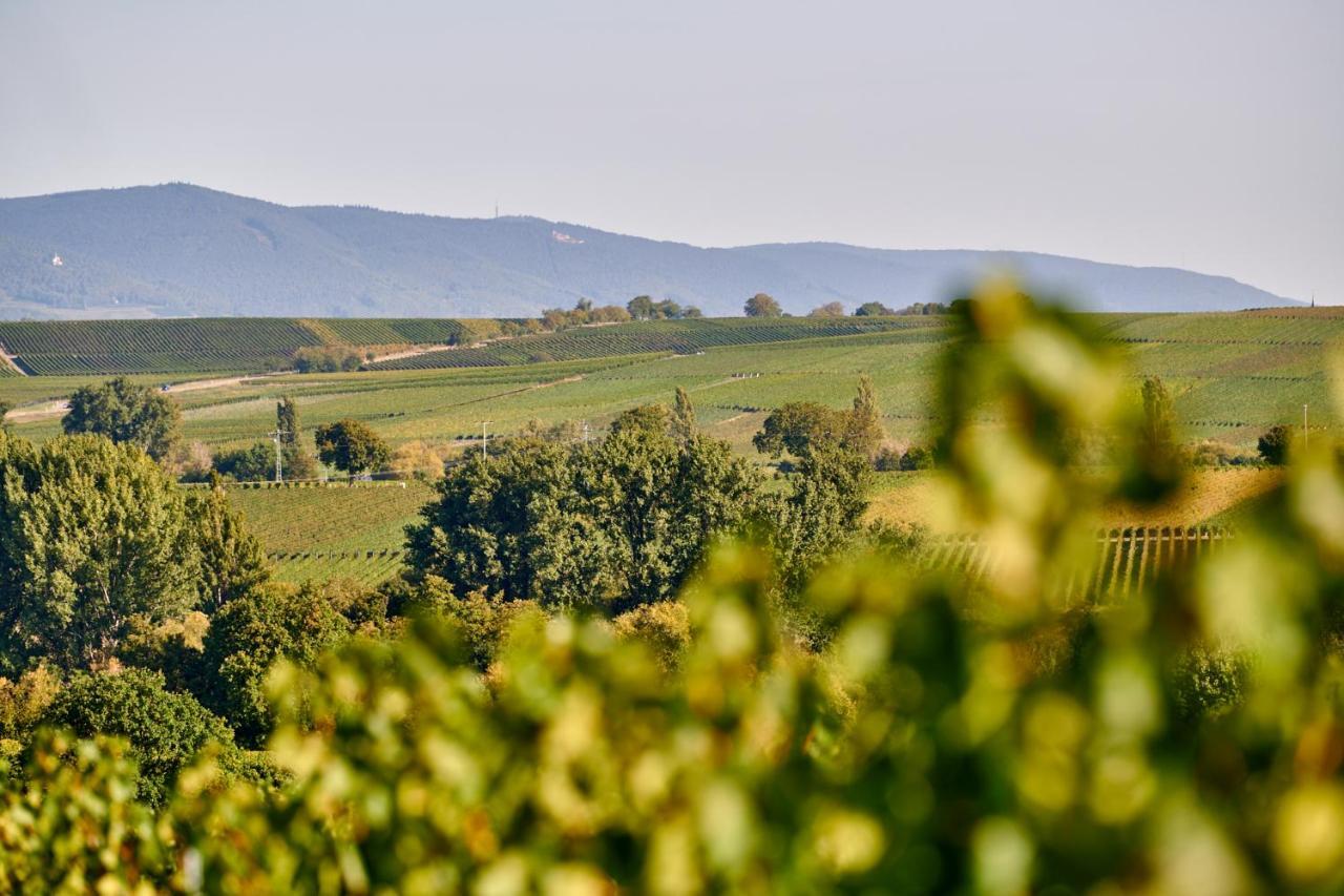 Weingasthaus Wisser Billigheim-Ingenheim