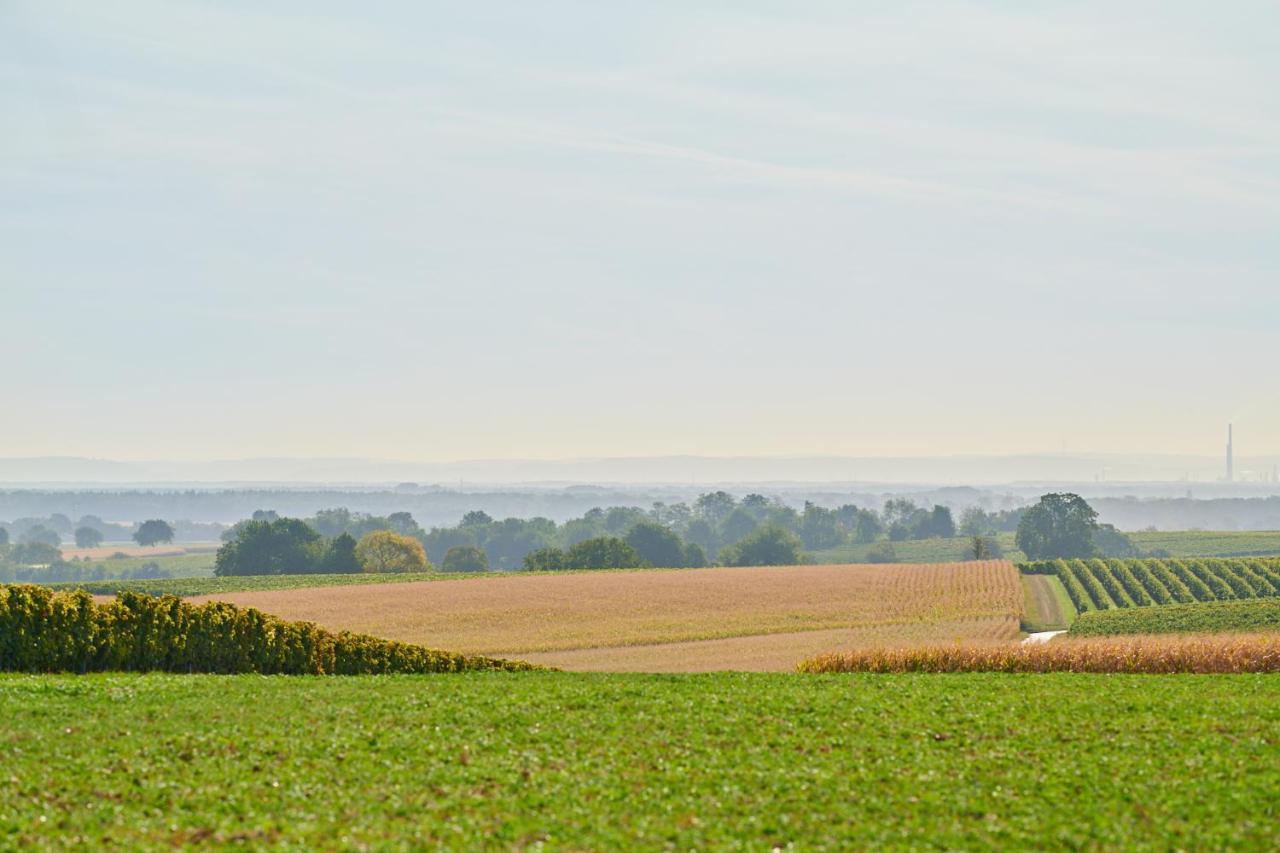 Weingasthaus Wisser 4* Billigheim-Ingenheim